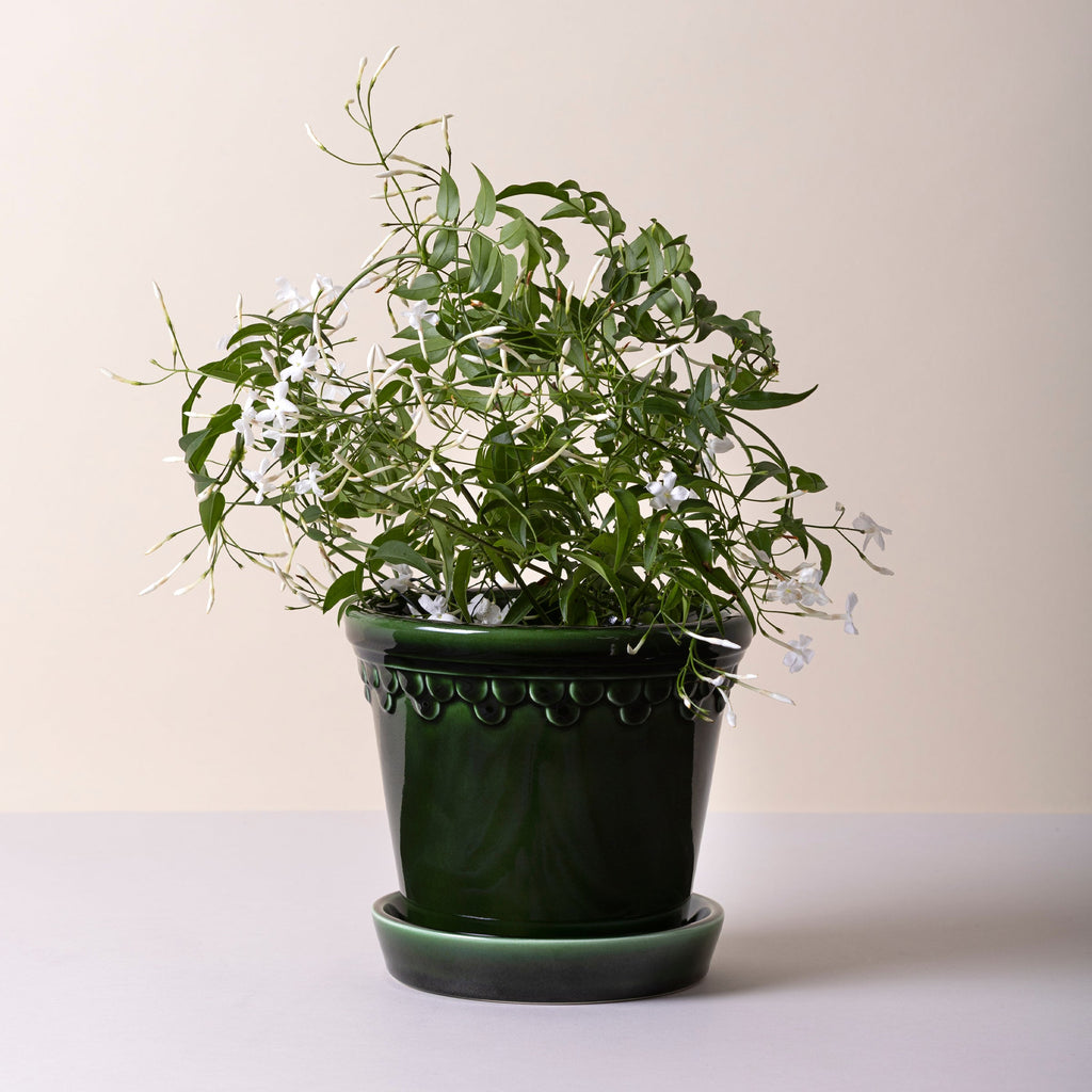 Kobenhavner Glazed Emerald Green 16cm Pot with Saucer